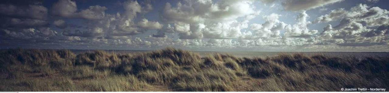 Villa Rosenhof Norderney Luaran gambar
